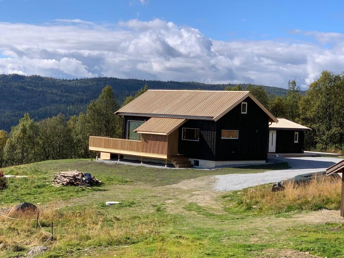 Na Er Vinteren Kommet Til Hallingdal Ål Esterno foto