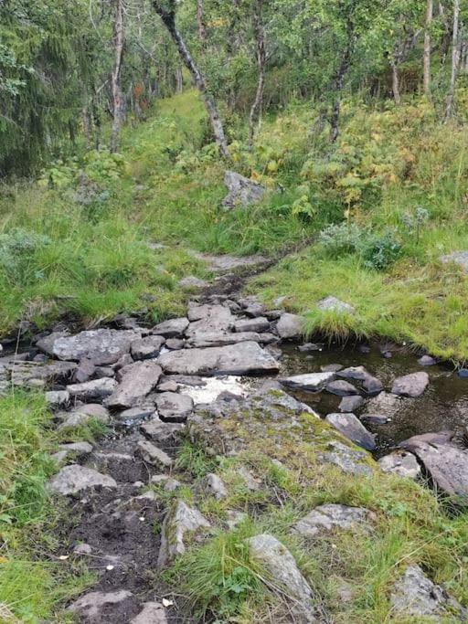 Na Er Vinteren Kommet Til Hallingdal Ål Esterno foto
