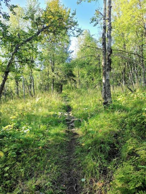 Na Er Vinteren Kommet Til Hallingdal Ål Esterno foto