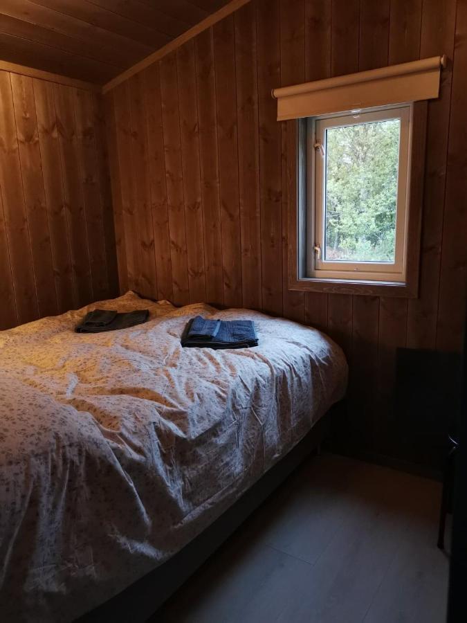 Na Er Vinteren Kommet Til Hallingdal Ål Esterno foto