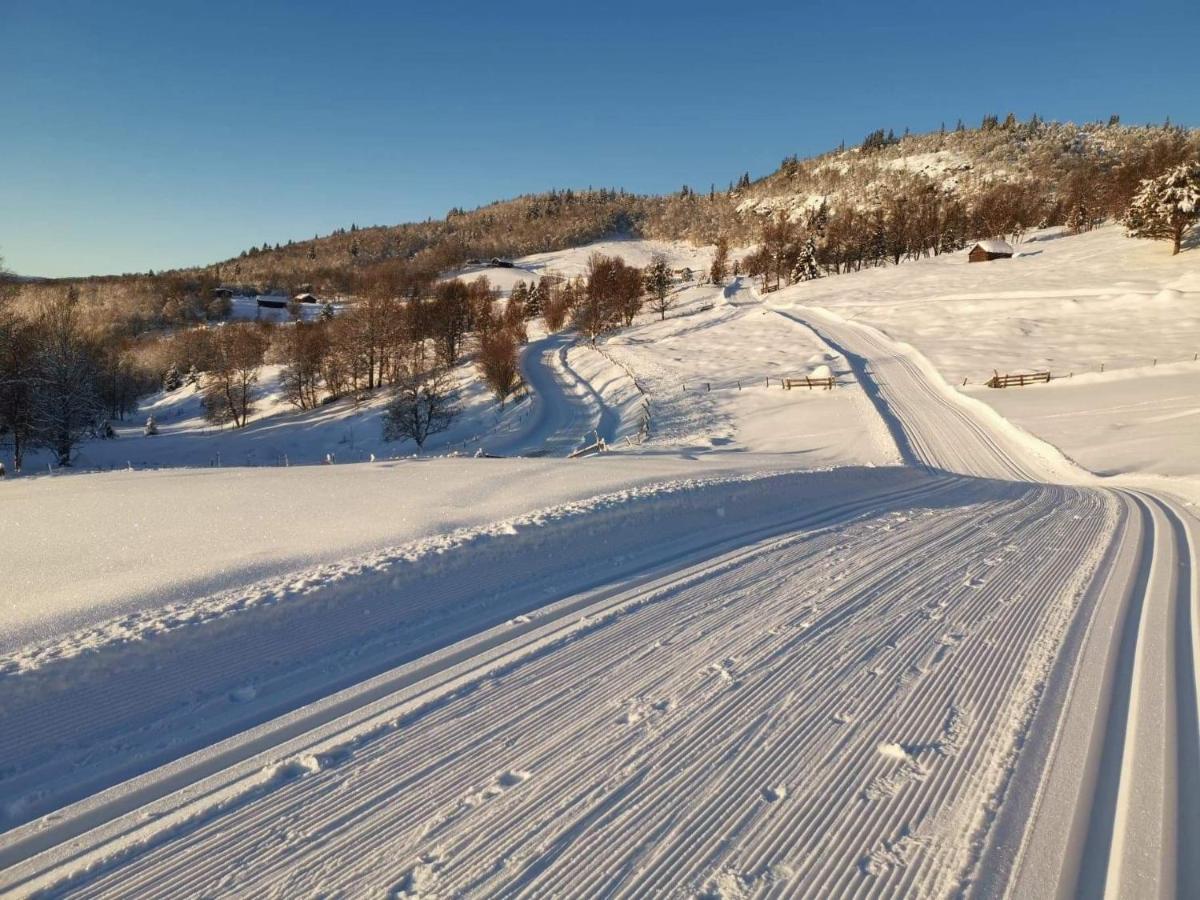 Na Er Vinteren Kommet Til Hallingdal Ål Esterno foto