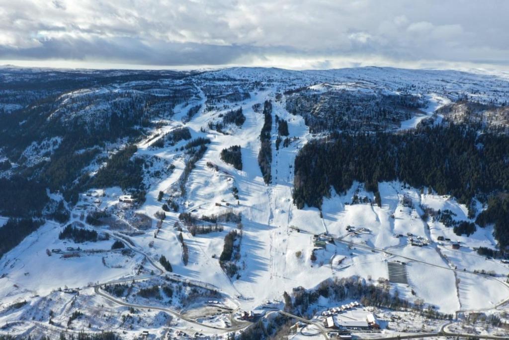 Na Er Vinteren Kommet Til Hallingdal Ål Esterno foto