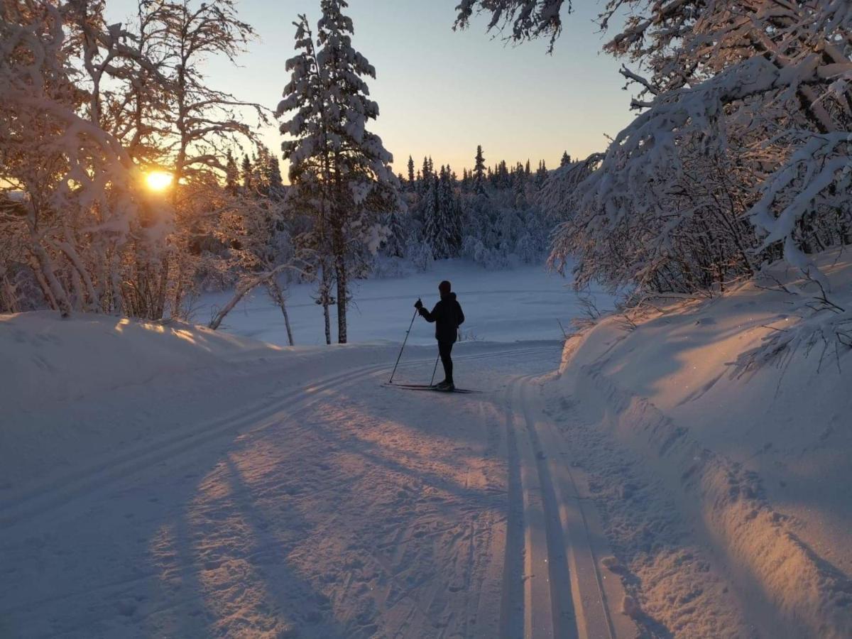 Na Er Vinteren Kommet Til Hallingdal Ål Esterno foto