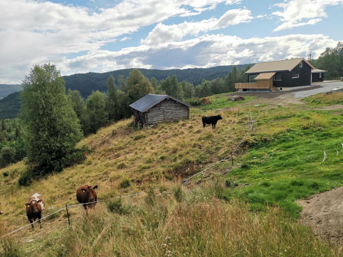 Na Er Vinteren Kommet Til Hallingdal Ål Esterno foto