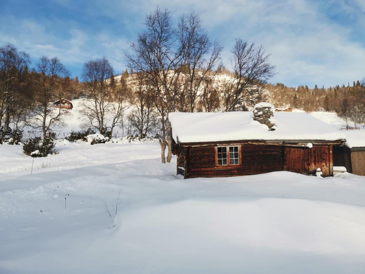 Na Er Vinteren Kommet Til Hallingdal Ål Esterno foto
