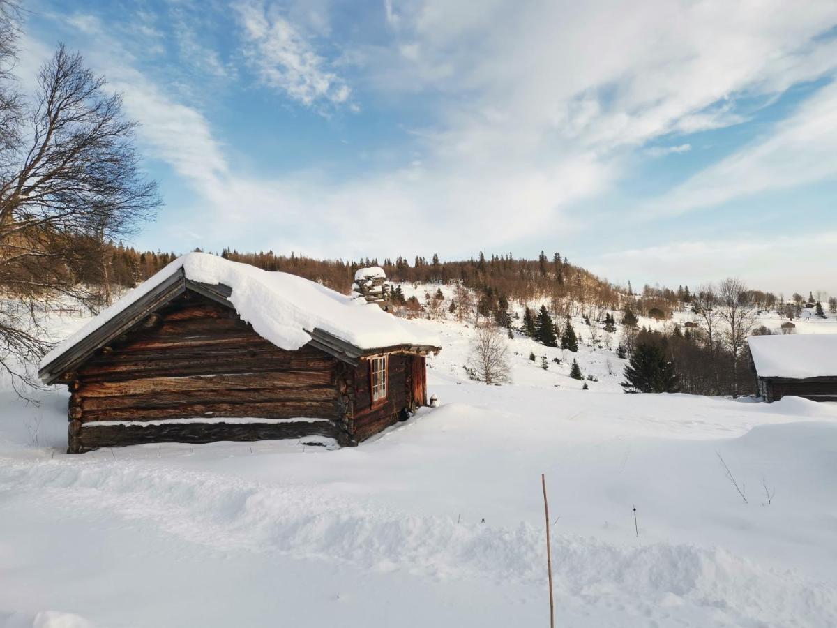 Na Er Vinteren Kommet Til Hallingdal Ål Esterno foto
